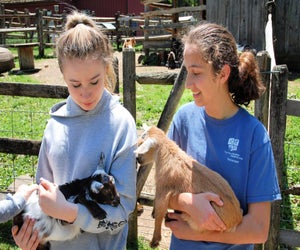 Fun at the Heckscher Farm Festival Weekend. Photo courtesy of Heckscher Farm 