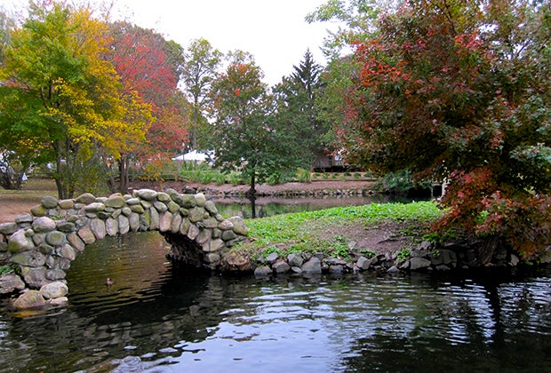 Traverse paved hiking trails at Heckscher State Park