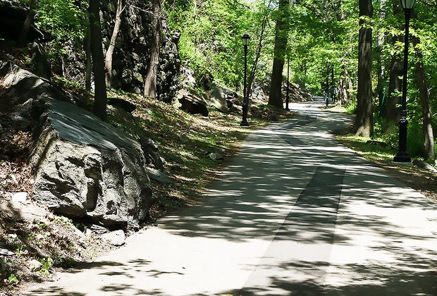 Highbridge Park is a beautiful spot to go hiking