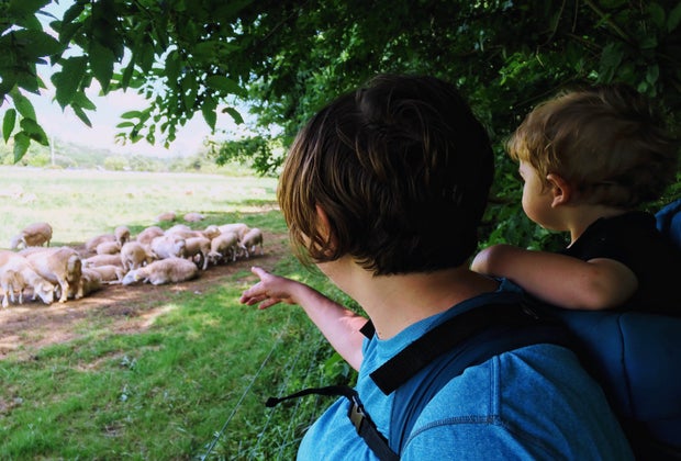 Hiking on the French Broad River