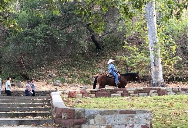 Griffith Park Shakespeare: and a horse rides by