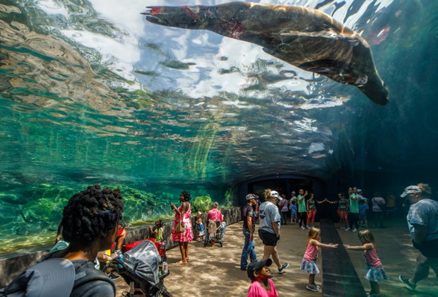 Houston Zoo Galapagos Island Exhibit