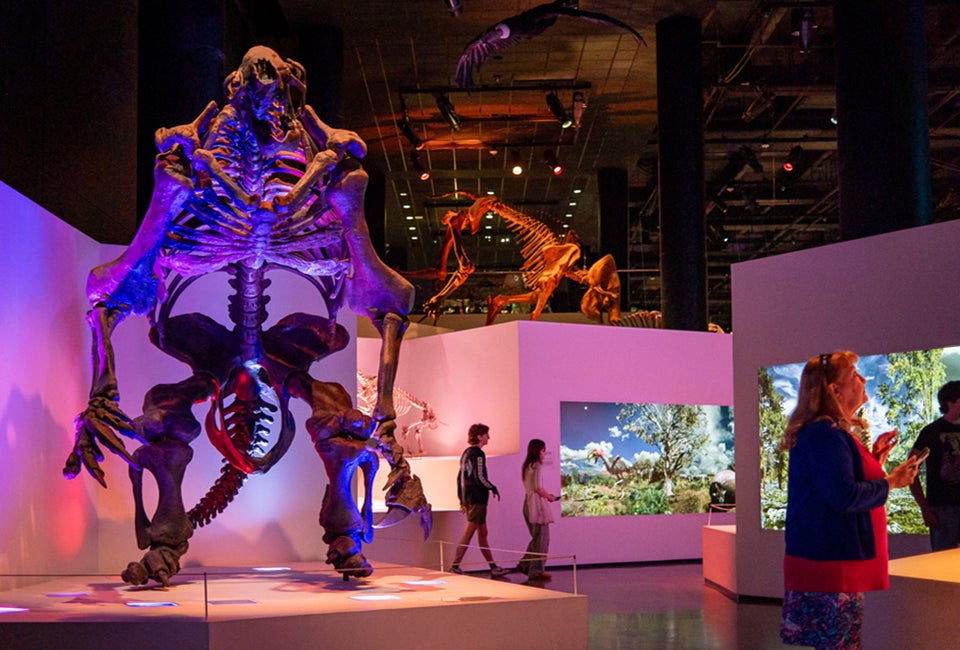 Photo credit :Alexander Hatley via Flickr 2.0