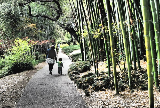 Free Museum Days in Los Angeles: The Huntington Gardens