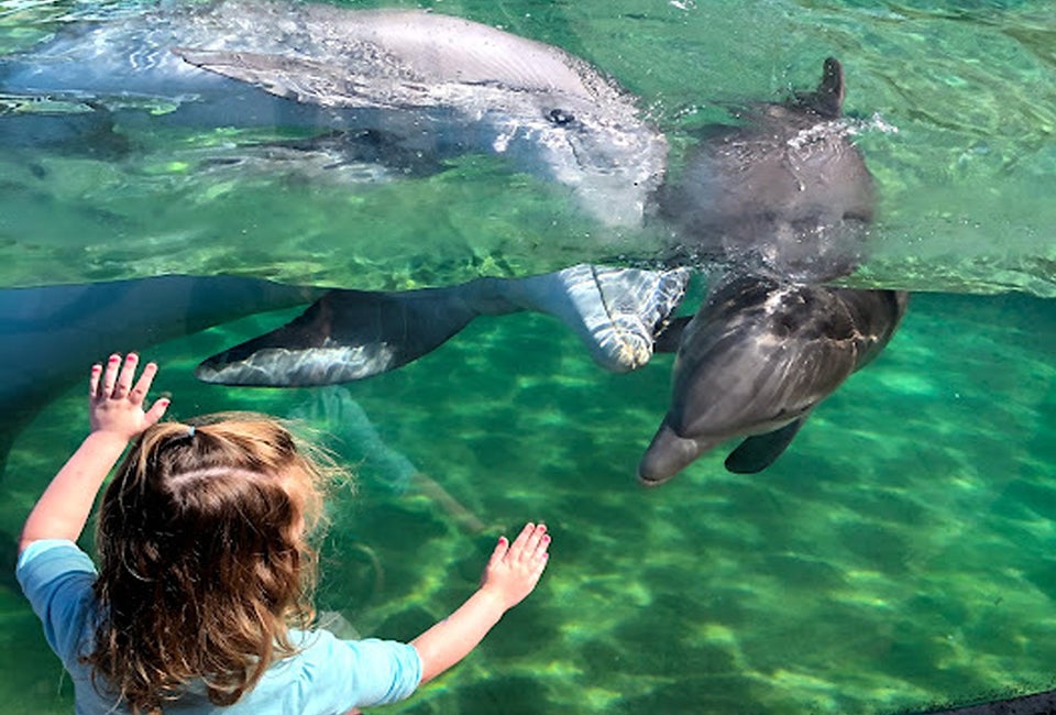 SeaWorld Orlando's Just for Kids Weekend is a great time to connect children with watery fun! Photo by author