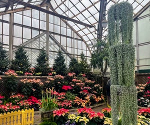 Garfield Park Conservatory's Winter Park Flower Show is free. Photo courtesy of the Conservatory.