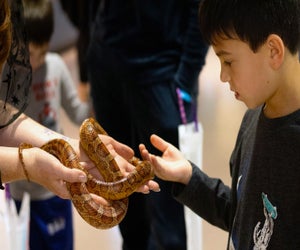 Get up close learning about and exploring fascinating creatures and nature at Peggy Notebaert Nature Museum's  Founders Day. Photo courtesy of the museum