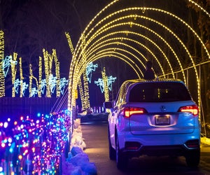 Diggerland's holiday light show, Holidig, opens this weekend. Photo courtesy of Diggerland