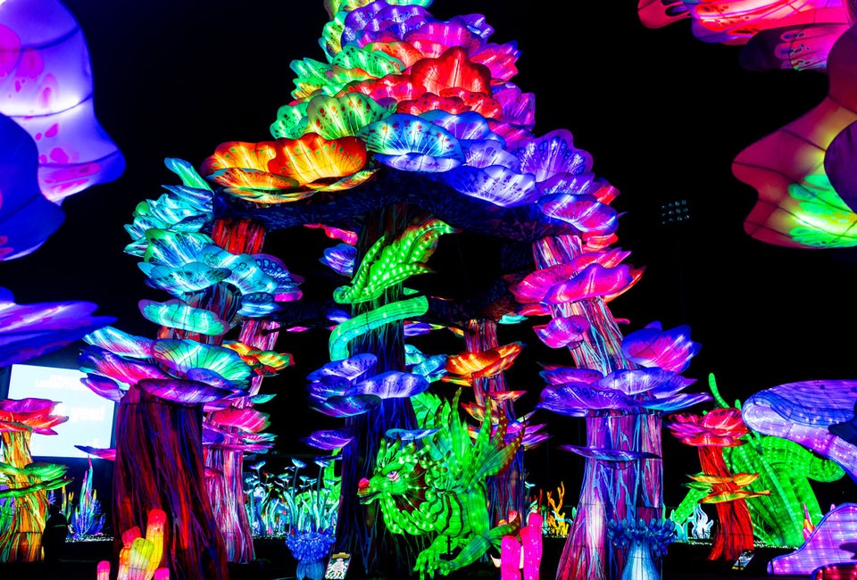 The night glows at Tianyu Lights Festival. Photo courtesy Tianyu Lights Festival