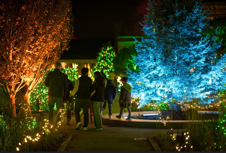 Get out for more holiday magic in Boston at these great things to do between Christmas and New Year's with kids. Photo by Troy B. Thompson Photography, courtesy of New England Botanic Garden