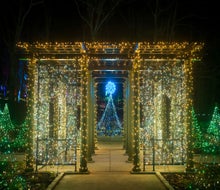 Night Lights: Dazzling Gardens at New England Botanic Garden by Troy B. Thompson Photography