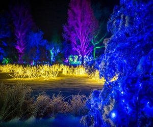 New Year's Weekend 2026 is your last chance for holiday lights at many Boston venues.Photo by Troy B. Thompson Photography, courtesy of New England Botanic Garden at Tower Hill