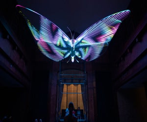 Mariposa is an exhibit at Balloon Museum Dallas. Photo courtesy Balloon Museum