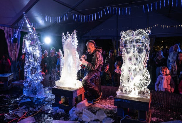 Winter break activities in NYC: Bronx Zoo Holiday Lights