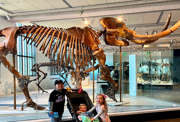 mage of Yale Peabody Museum - Free Things To Do Indoors