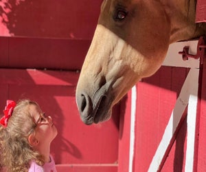 Sensory Staples lets kids get close to a variety of farm animals, including its friendly horses. Photo courtesy of Sensory Stables