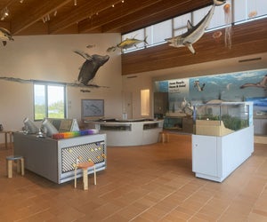 The Jones Beach Nature Center invites families to a hands-on slime workshop this weekend. Photo by Gina Massaro