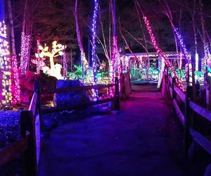 Find outdoor fun around Boston over New Year's 2025-2026. Photo courtesy of the Stone Zoo