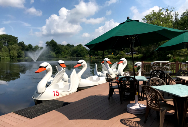 Swan boats at Verona Park