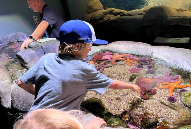 Spring break in Los Angeles: Aquarium of the Pacific in Long Beach