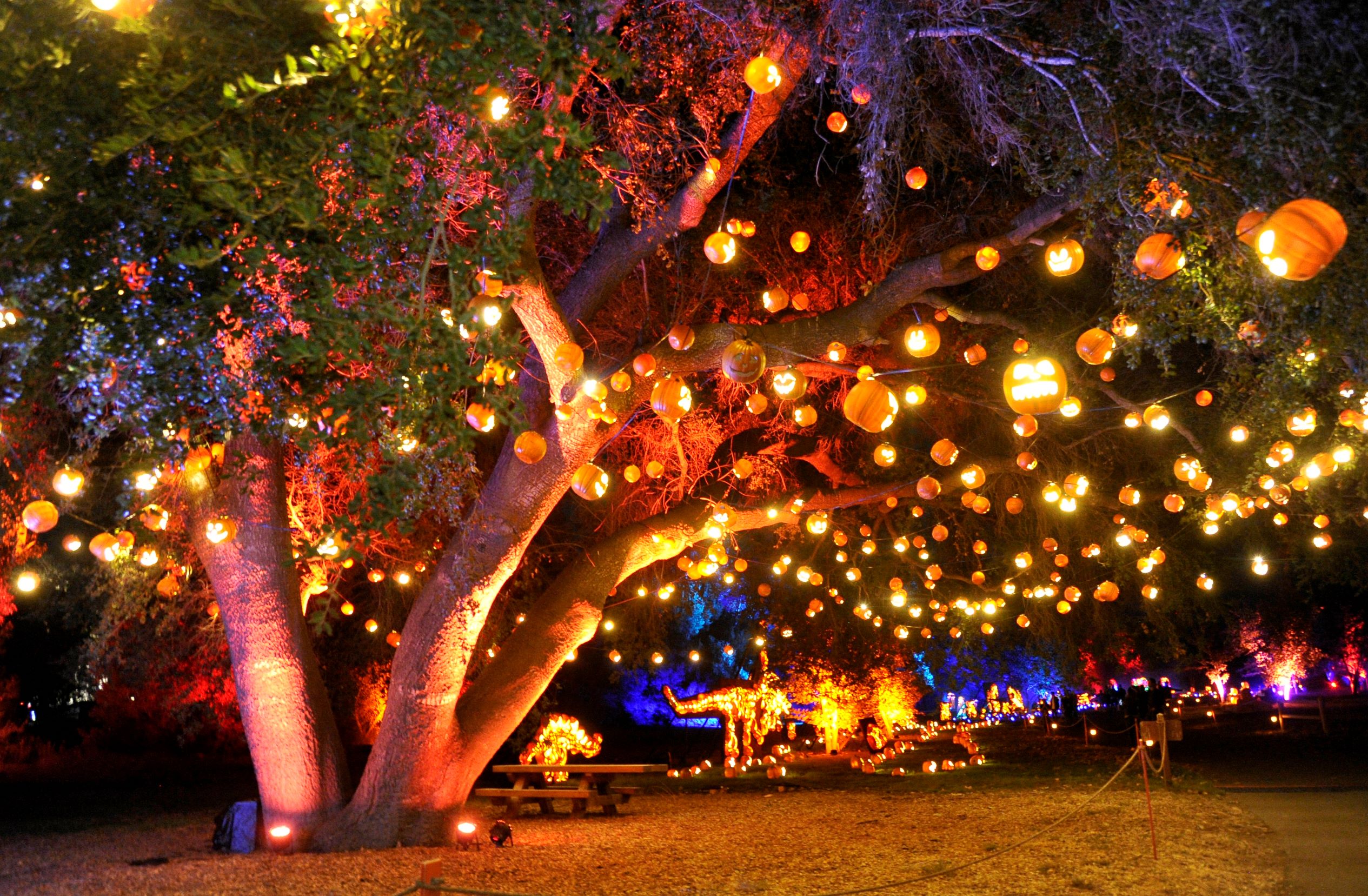 ジョニー・ジェームス 「イン・ザ・ステイル・オブ・ザ・ナイト」レコード shocktoberfestjpg-