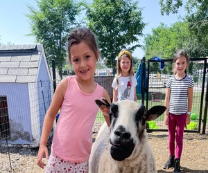 Farms near Chicago offer animal experiences and more. Photo courtesy of the Double J Riding Club