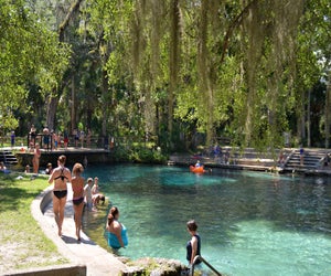 Swim at the freshwater Juniper Springs in Silver Springs, Florida. US Forest Service photo by Susan Blake