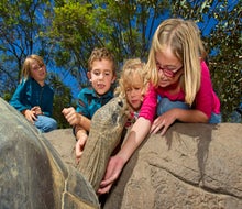 Kids can get up close and personal with a giant tortoise. Photo credit Jaimie Wells, San Diego Zoo