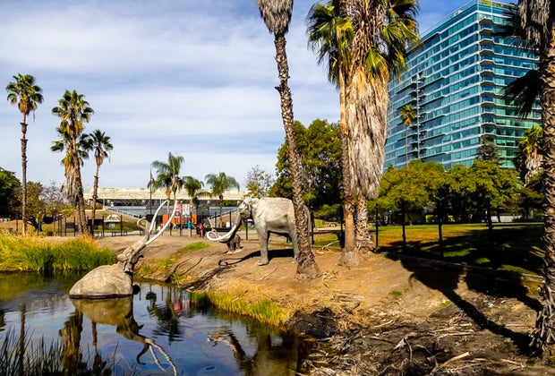 See mammoths and mastadons at the La Brea Tar Pits