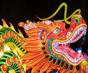 The NYC Winter Lantern Festival lights up the dark winter months. Photo courtesy the Winter Lantern Festival
