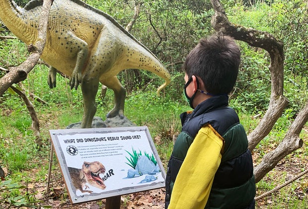 boy on dino trail