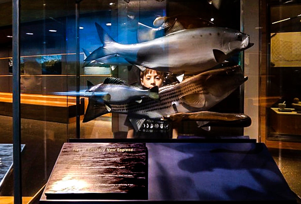 The Mashantucket Pequot Museum and Research Center opens your eyes with curious perspectives.  Photo by Jennifer Coe