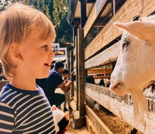 Lemos Farm in Half Moon Bay offers pony and train rides, a petting zoo, and seasonal entertainment. Photo courtesy of Lemos Farm