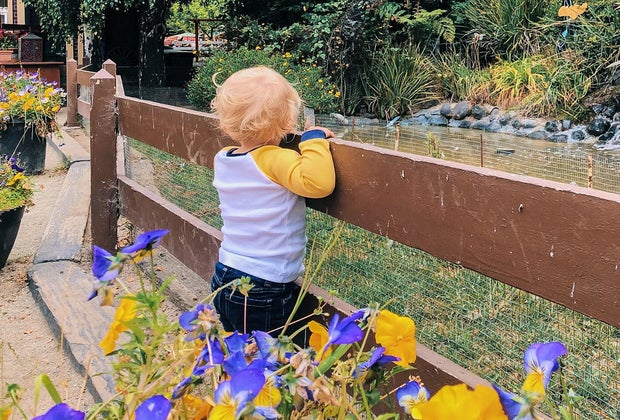 Best Day Trips from San Francisco: Lemos Farm in Half Moon Bay