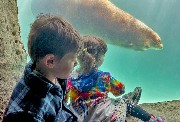 Best museums Long Island Long Island Aquarium