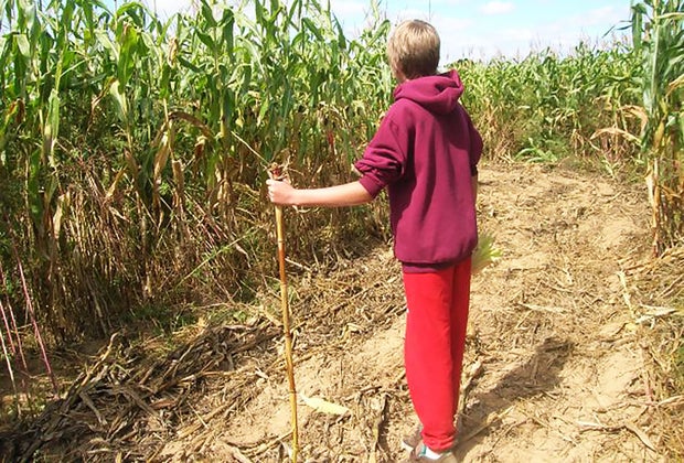 Corn maze near Long Island Glover Farms