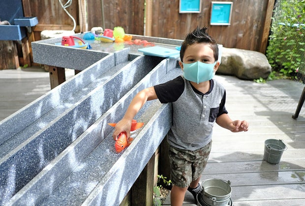 Our Backyard at LICM