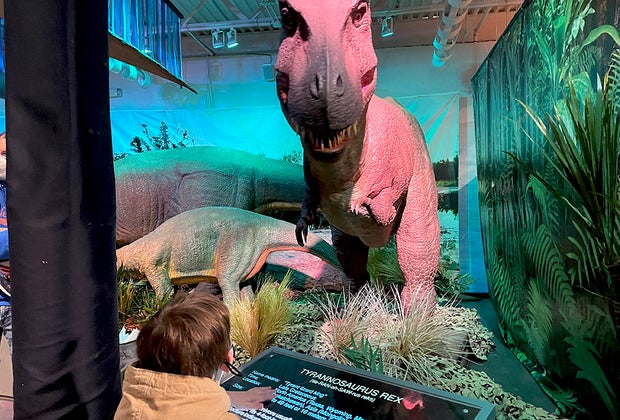 Age of the Dinosaurs at LICM