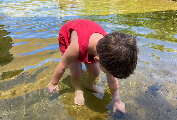 long island aquarium child in marsh