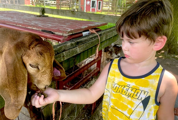 feeding the animals at the Suffolk County Farm and Education Center.