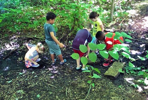Tanglewood Preserve. 15 Things To Do in Rockville Centre with Kids