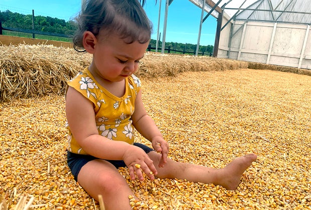 Fink’s Country Farm Top Birthday Party Places for Toddlers and Preschoolers on Long Island