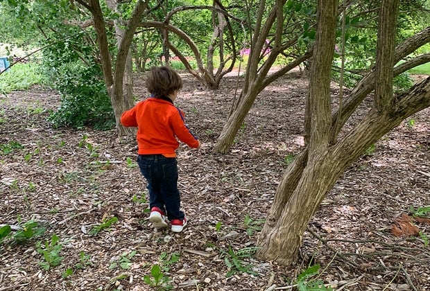 Toddler-friendly hiking trails on Long Island Bayard Cutting Arboretum