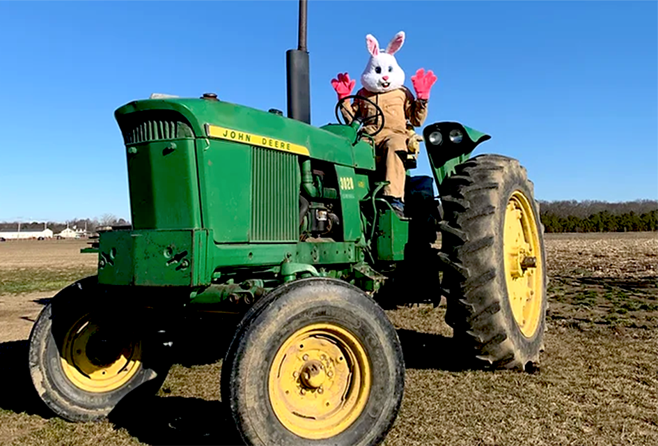 Waterdrinker Farm hosts the Easter Bunny and a hunt for the golden egg this weekend. Photo courtesy of the farm