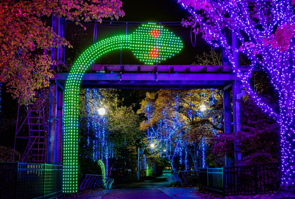 What's that sparkle off 76?  LumiNature is back. Photo courtesy of the Philadelphia Zoo