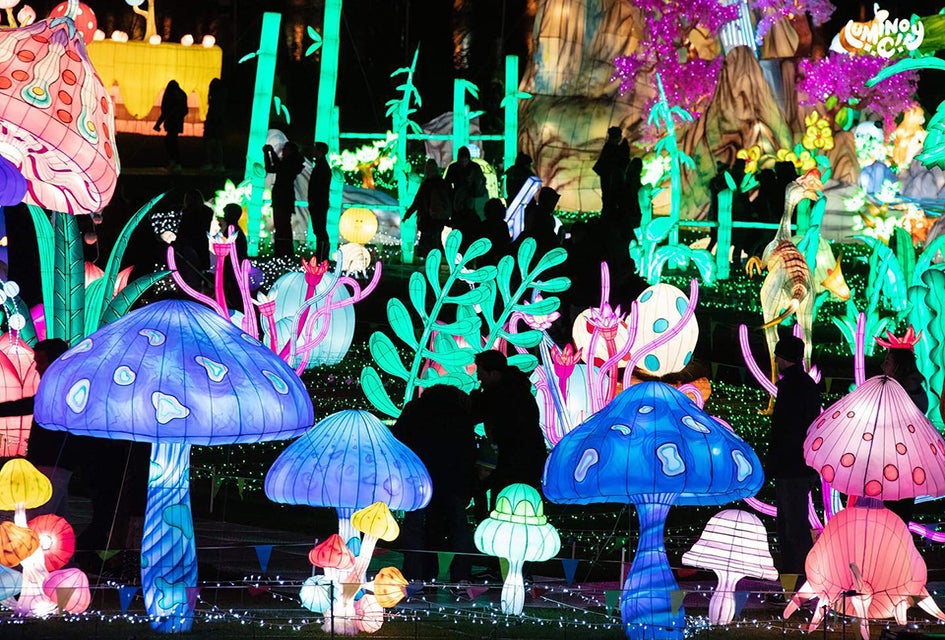 Illuminated sculptures light up the night at LuminoCity in Manhasset. 
