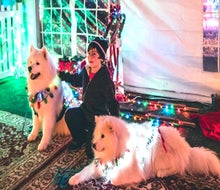 Toyota Holiday Village at Jones Beach - Wantagh. Photo courtesy of Magic of Lights