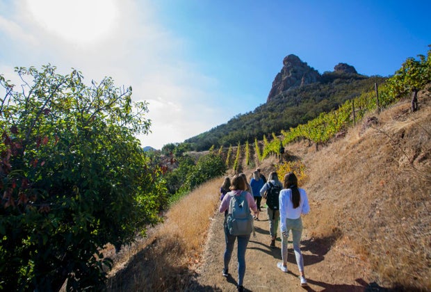 Things To Do on Mother's Day 2025 in Los Angeles Malibu Wine Hikes