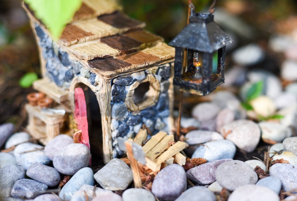 Make a fairy garden! Photo by Molly Triplett via Unsplash