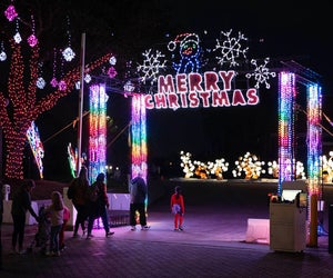 Take a stroll through the holiday lights at Moody Gardens. Photo courtesy of Moody Gardens